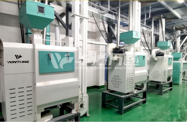 MTPS Fine Corn Peeling Machine Using at the Processing Line